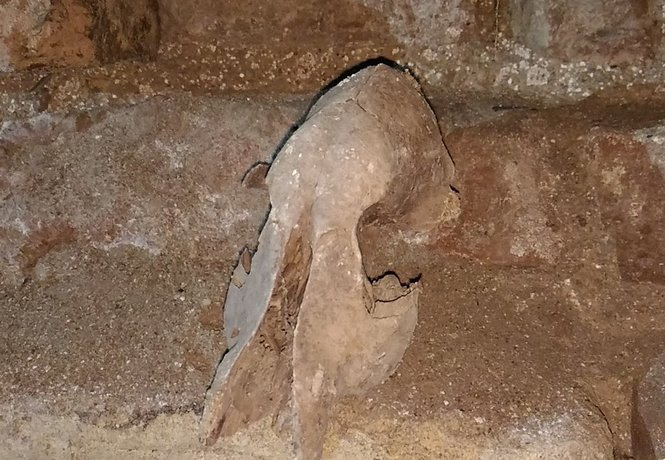 کشف تونل باستانی در مسجد امام اصفهان +عکس