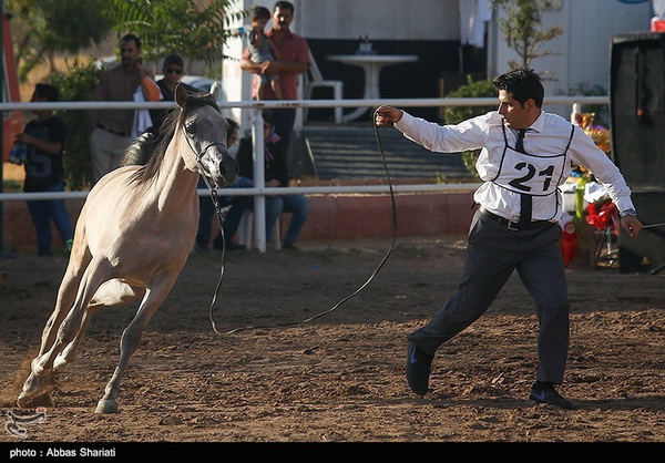 منتخب عکس های امروز خبرگزاری های داخلی