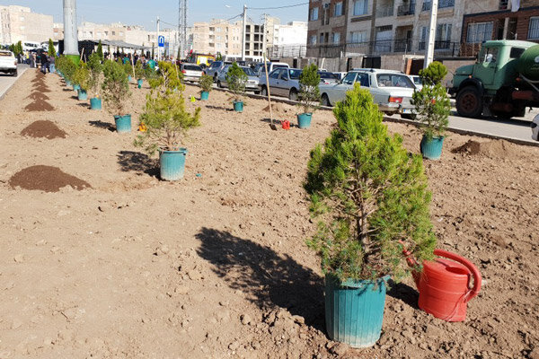 همزمان با روز درختکاری مراسم غرس نهال در قزوین برگزار شد