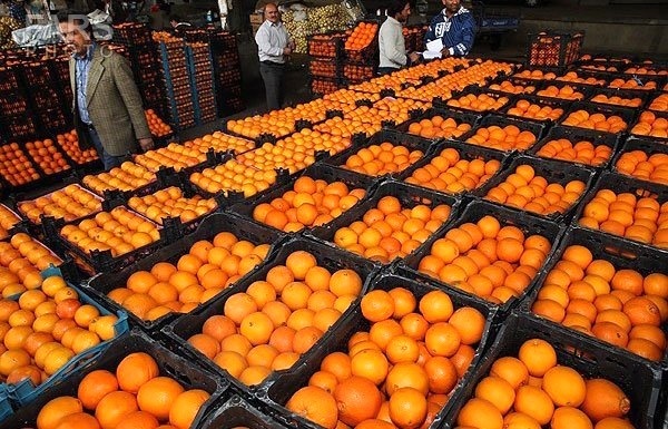 سهمیه میوه شب عید قزوین 2هزار تن است سهمیه میوه شب عید قزوین 2هزار تن است