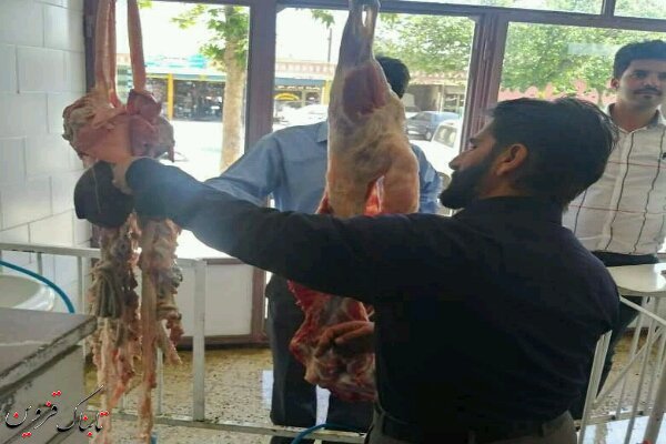 گشتهای نظارتی دامپزشکی قزوین بصورت شبانه روزی فعال است