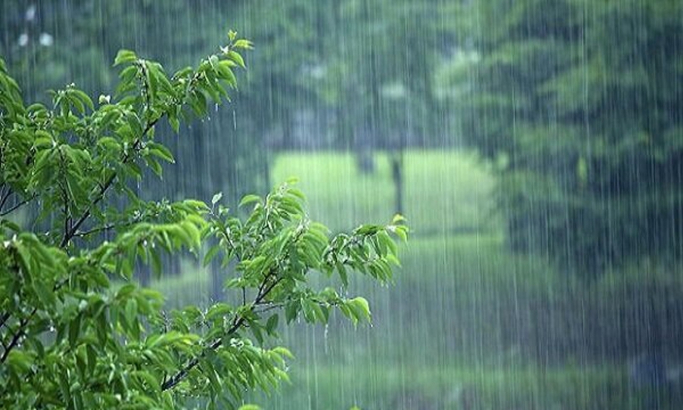 آببر  رکورددار بارش باران در استان زنجان شد
