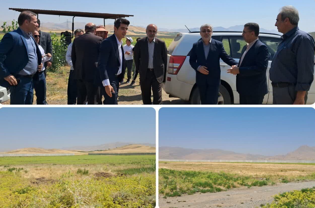 آغاز عملیات اجرایی بزرگترین کارخانه رب اسپتیک در کامیاران آغاز عملیات اجرایی بزرگترین کارخانه رب اسپتیک در کامیاران