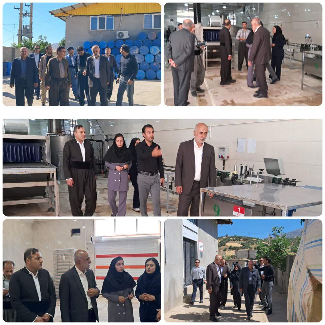 سرمایهگذاری ۴۰ میلیارد تومانی در صنایع تبدیلی سروآباد/ گامی مؤثر در توسعه اشتغال و ارزش افزوده کشاورزی سرمایهگذاری ۴۰ میلیارد تومانی در صنایع تبدیلی سروآباد/ گامی مؤثر در توسعه اشتغال و ارزش افزوده کشاورزی
