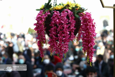 نماز عبادی سیاسی جمعه در صحن پیامبر اعظم ص