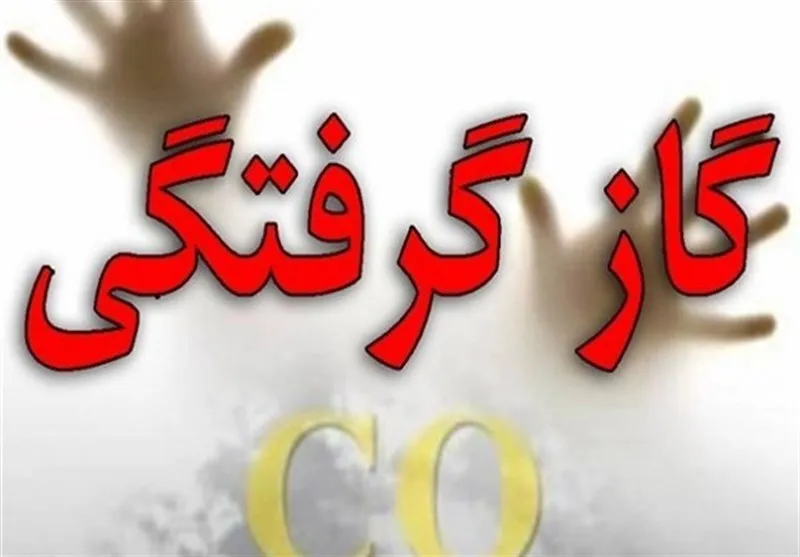 گازگرفتگی ۴خانم جوان در باغات تفریحی