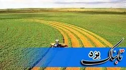 بحرانی آب، الزام تصویب سند ملی و استانی الگوی کشت یزد را دوچندان کرده است