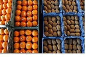 توزیع 16تن میوه نوروزی در خوزستان