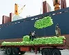 بیش از ۴۸ میلیون دلار صادرات به عراق در فروردین ماه