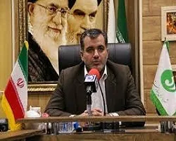 سگ های ولگرد در بهارستان را عقیم می کنیم/انعقاد قرارداد با شرکت خصوصی برای جمع اوری سگ های ولگرد
